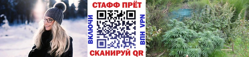 Купить наркоту Ессентуки МЕТАМФЕТАМИН  Галлюциногенные грибы  Меф мяу мяу  Кокаин 