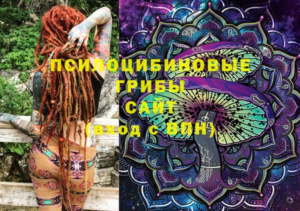 МДПВ Вязьма
