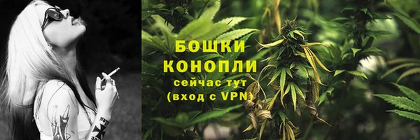 МДПВ Вязьма