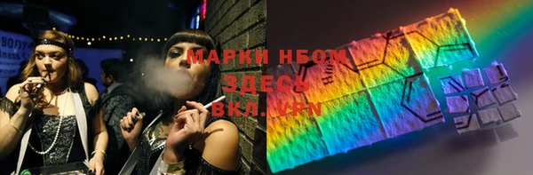 PSILOCYBIN Вяземский
