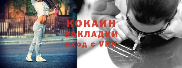 PSILOCYBIN Вяземский