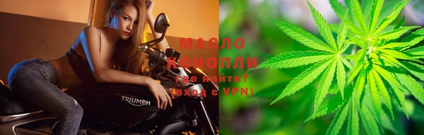 PSILOCYBIN Вяземский