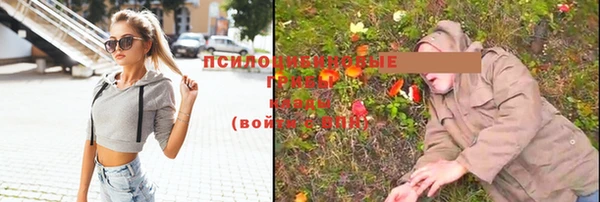 таблы Вязники