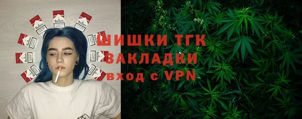 бошки Верхний Тагил