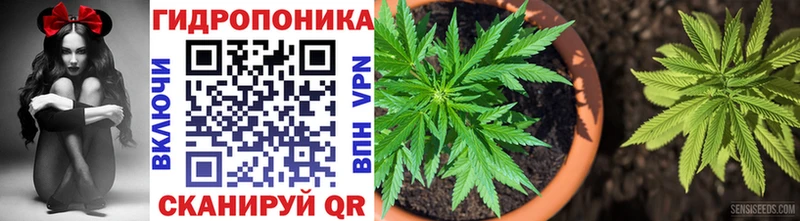 МАРИХУАНА семена  закладки  Ессентуки 